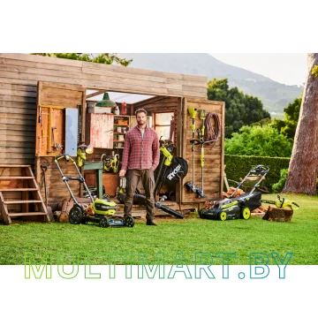 Аккумулятор для электроинструмента Ryobi BPL3650D2 (5133004387) картинка 3